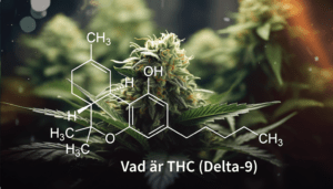 THC Delta-9