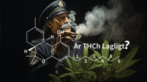 Vad är THCh? Effekter, Fördelar – Är THC-H Lagligt i Sverige?