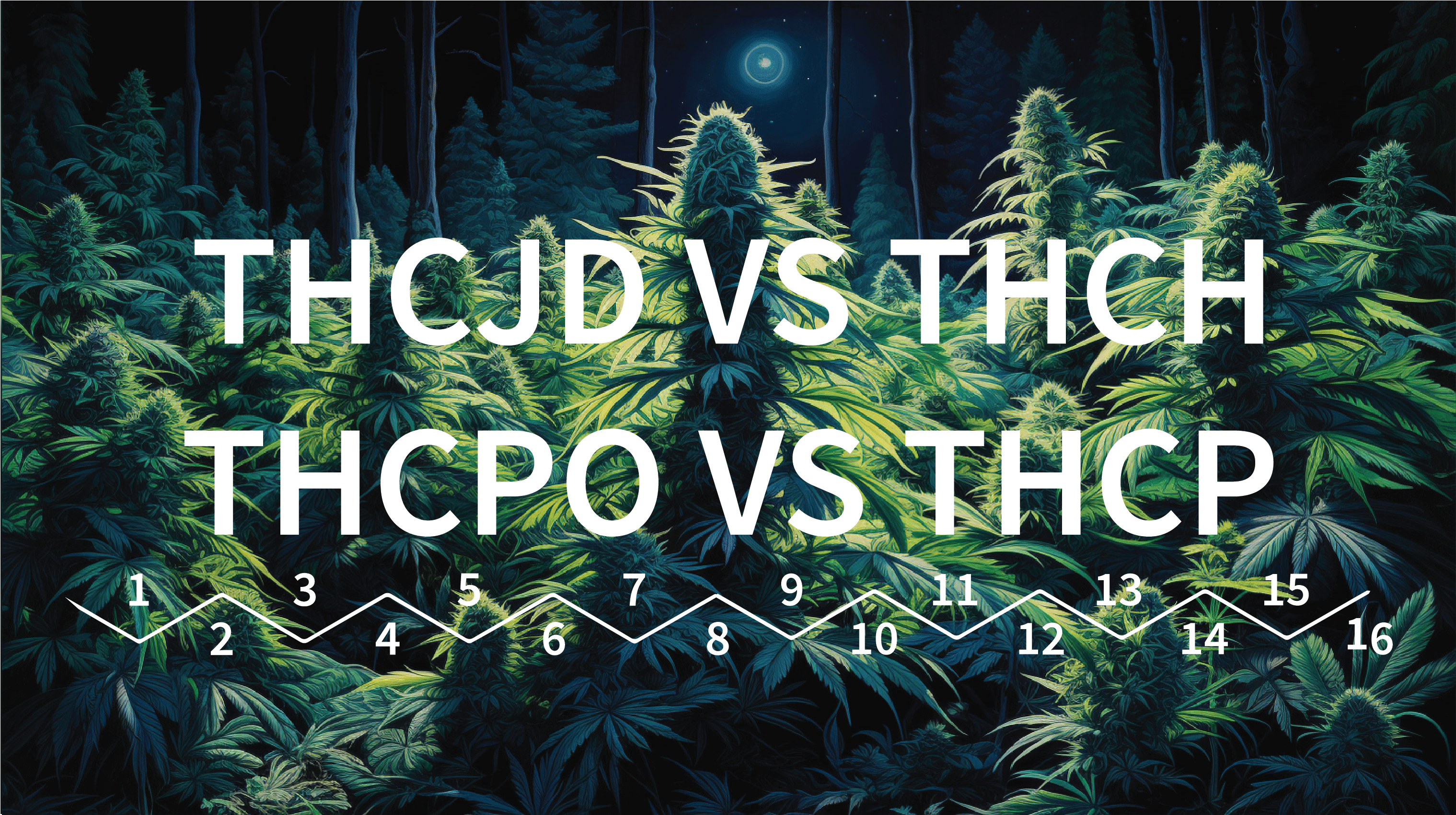 THC-H vs THC-PO vs THC-JD vs THC-P